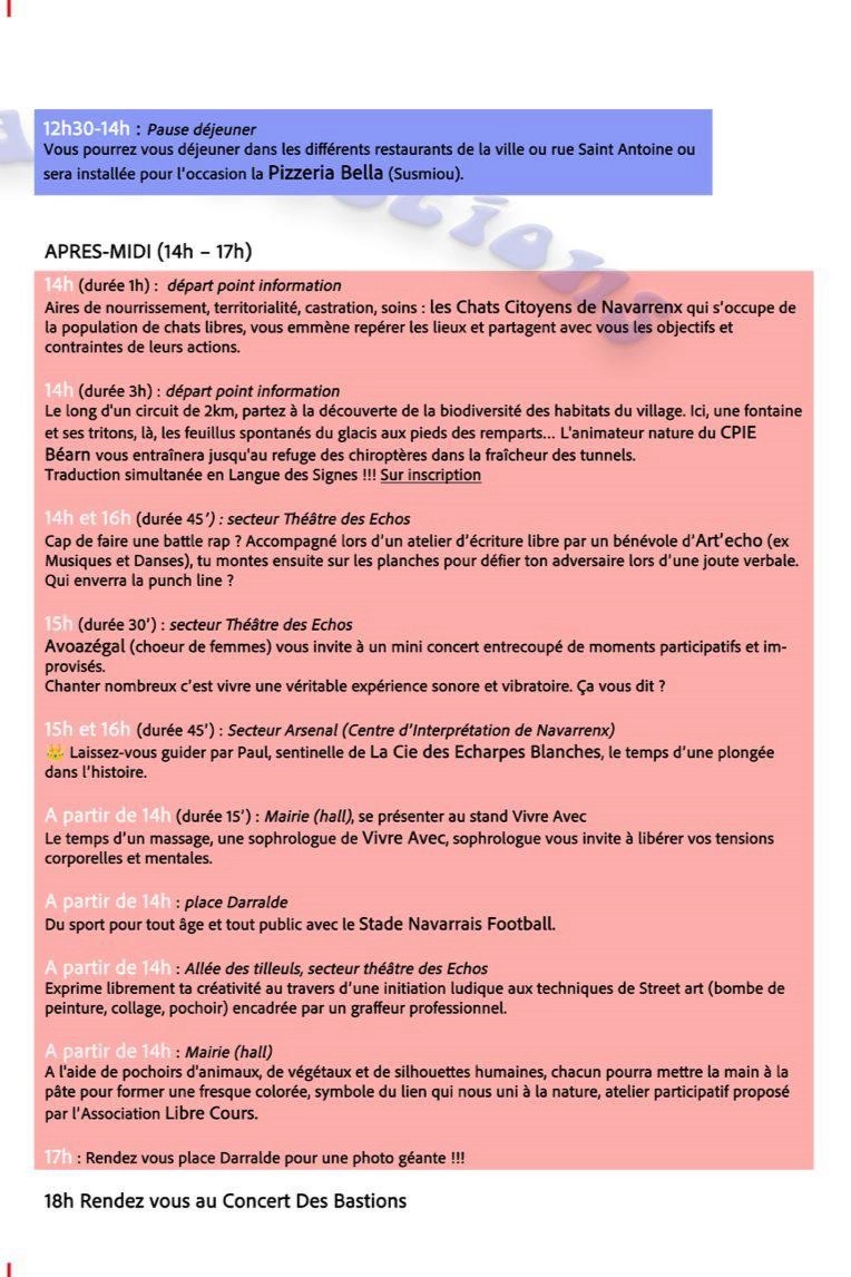 Activités de l'après-midi